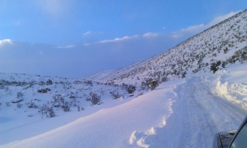 Photos
