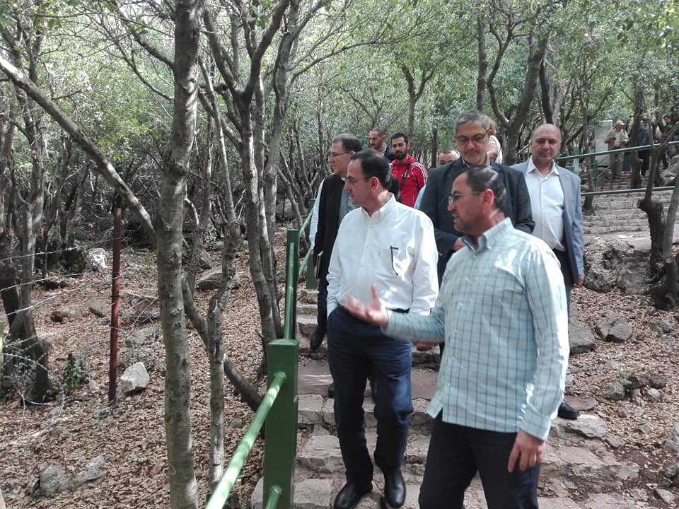 Photos