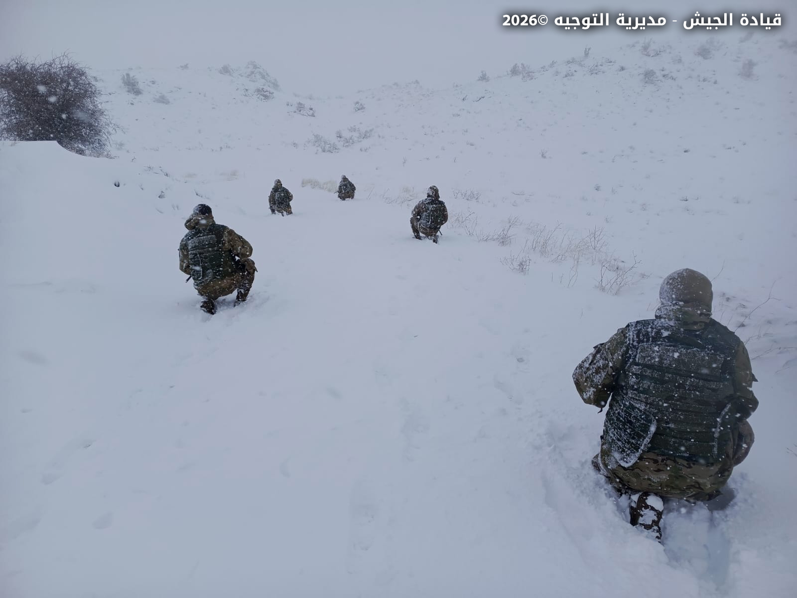 Photos