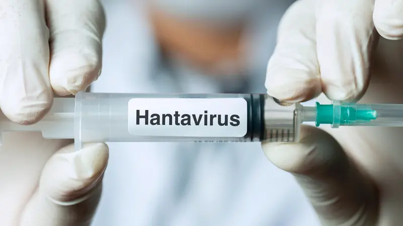 WHO Reassures Global Health Over Hantavirus Outbreak: Key Cases and Risks (Alternative concise options:) Hantavirus Outbreak: WHO Eases Concerns as Cases Emerge Globally Hantavirus Cases Reported After Cruise Ship Exposures – WHO’s Response